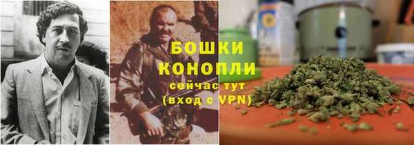 прущие грибы Гусь-Хрустальный