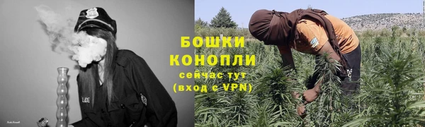 PSILOCYBIN Армянск