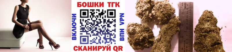 Марихуана Amnesia  купить  цена  Кологрив 